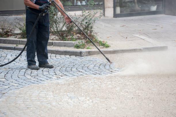 Best Animal Enclosure Cleaning  in Calhoun Falls, SC
