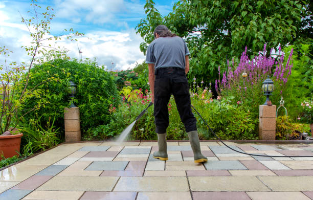 Best Sidewalk and Walkway Cleaning  in Calhoun Falls, SC